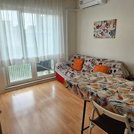 Cam 33 Center